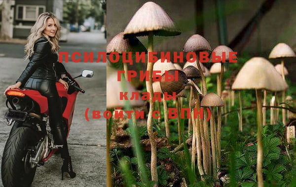 ECSTASY Покровск