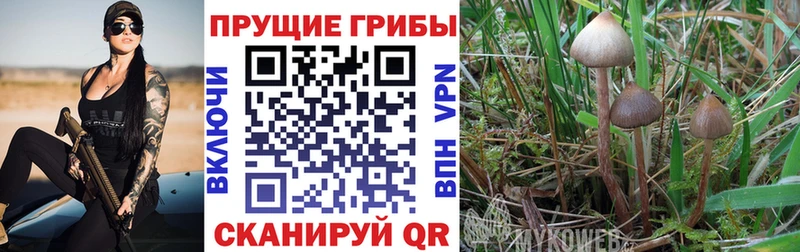 Галлюциногенные грибы ЛСД  Сегежа 